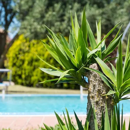 Dimora Blu Hébergement de vacances *