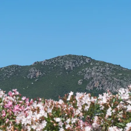 Dimora Blu Hébergement de vacances